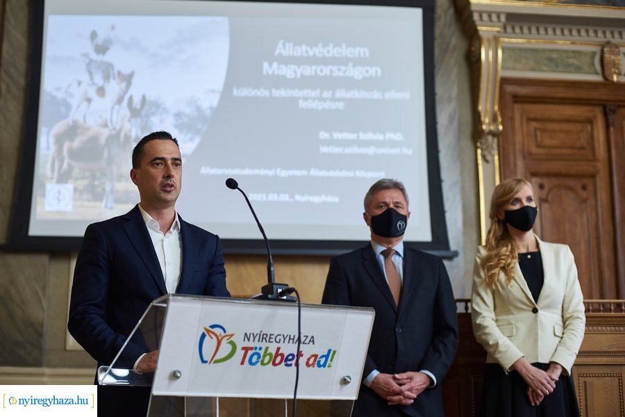 Állatvédelmi kerekasztal Nyíregyházán