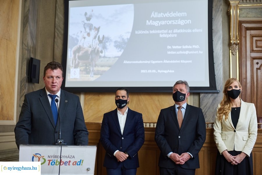 Állatvédelmi kerekasztal Nyíregyházán