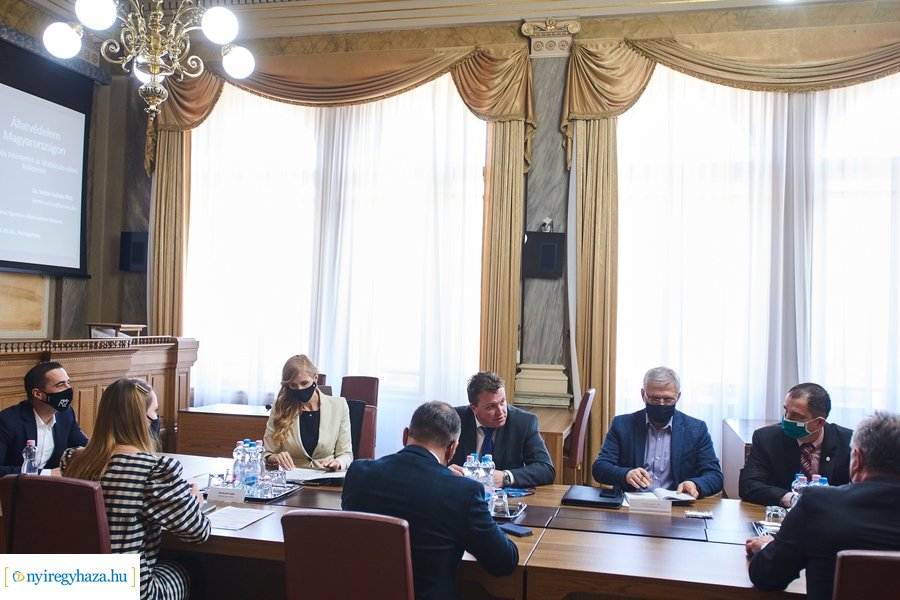 Állatvédelmi kerekasztal Nyíregyházán