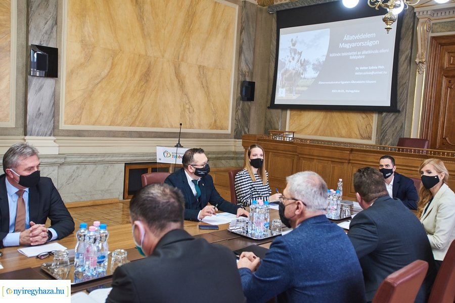 Állatvédelmi kerekasztal Nyíregyházán