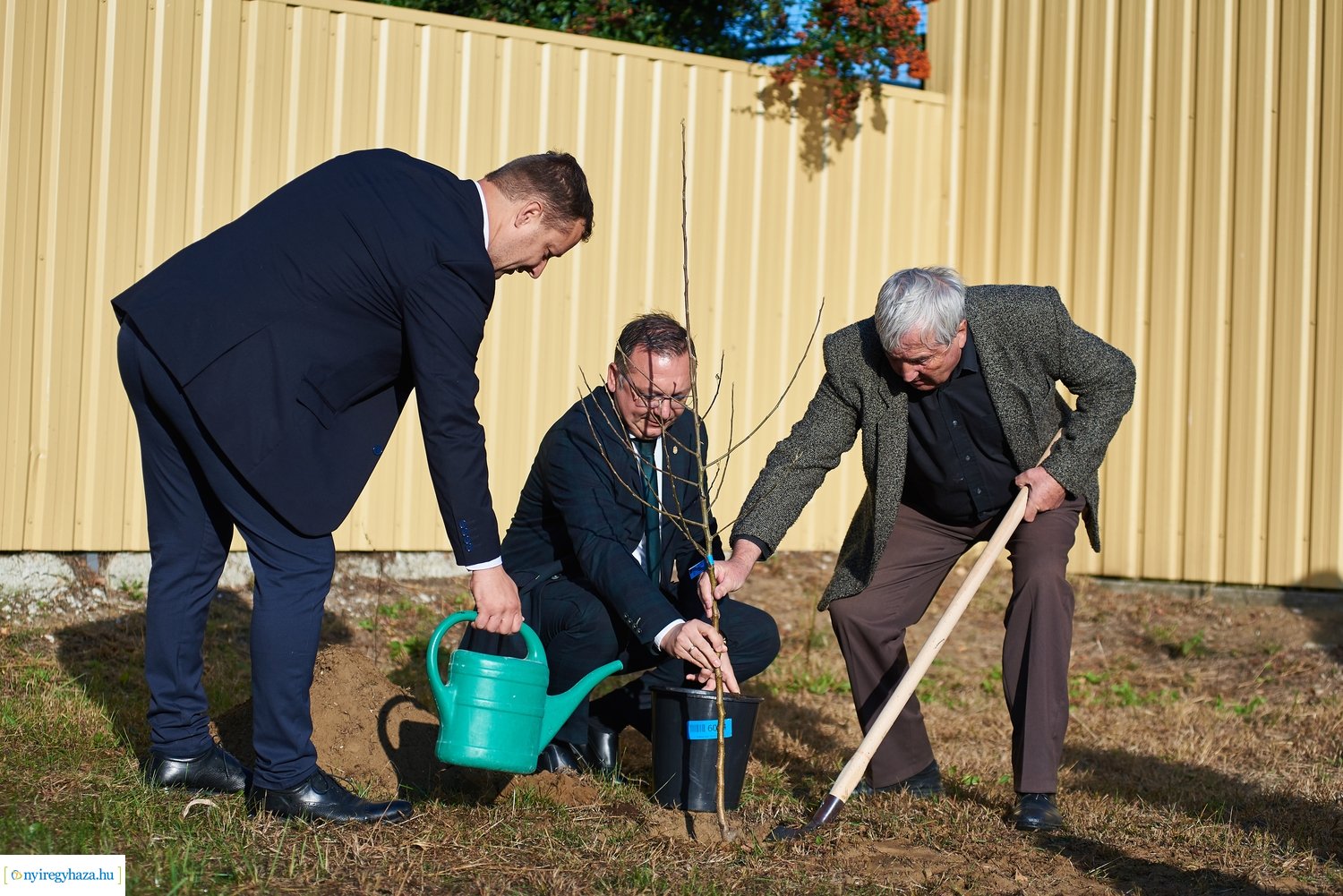 Alma adomány 20211015