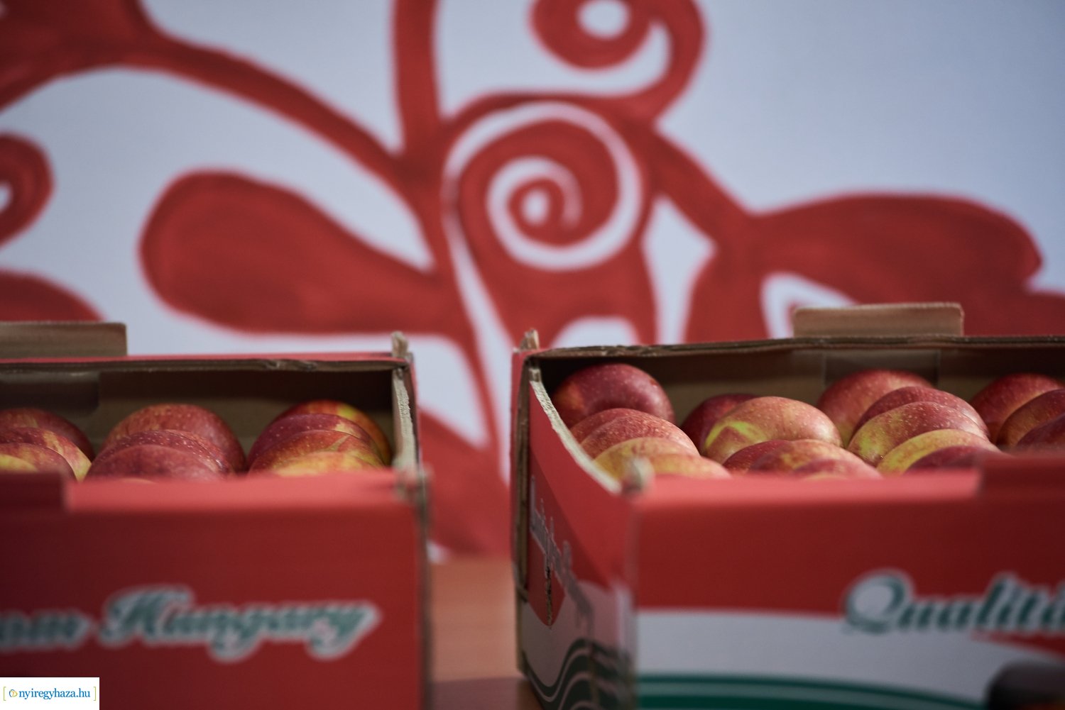 Alma adomány 20211015