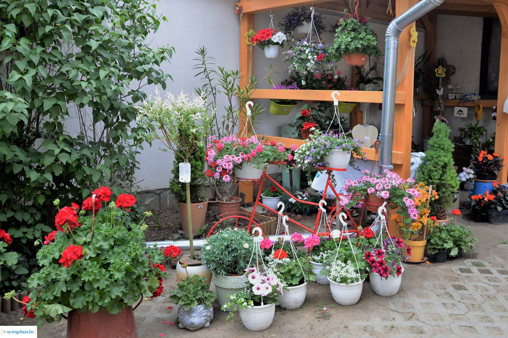 Anyák napjára készülünk