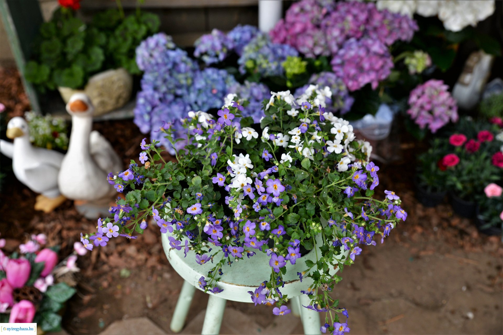 Anyák napjára készülünk