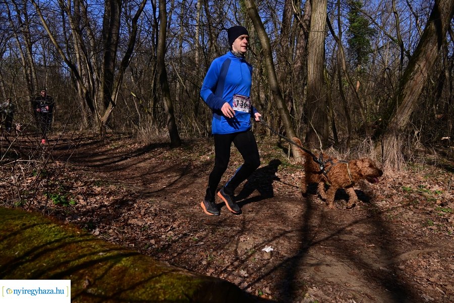 Ápolók futása 2024