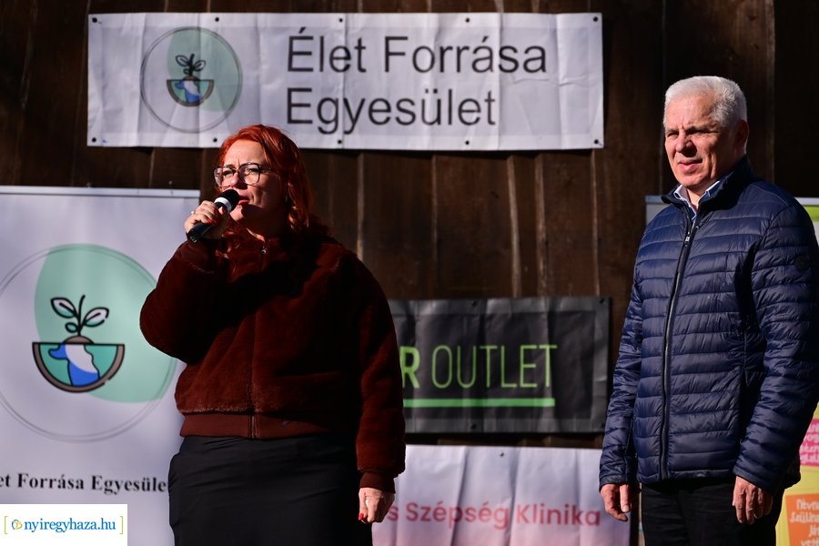 Ápolók futása 2024