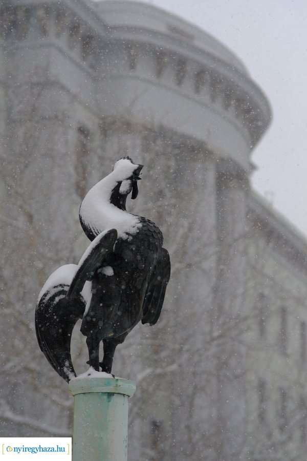 Áprilisi tréfa 20230406