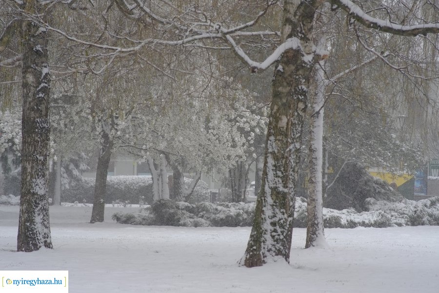 Áprilisi tréfa 20230406