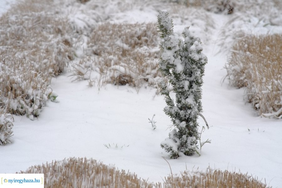 Áprilisi tréfa 20230406