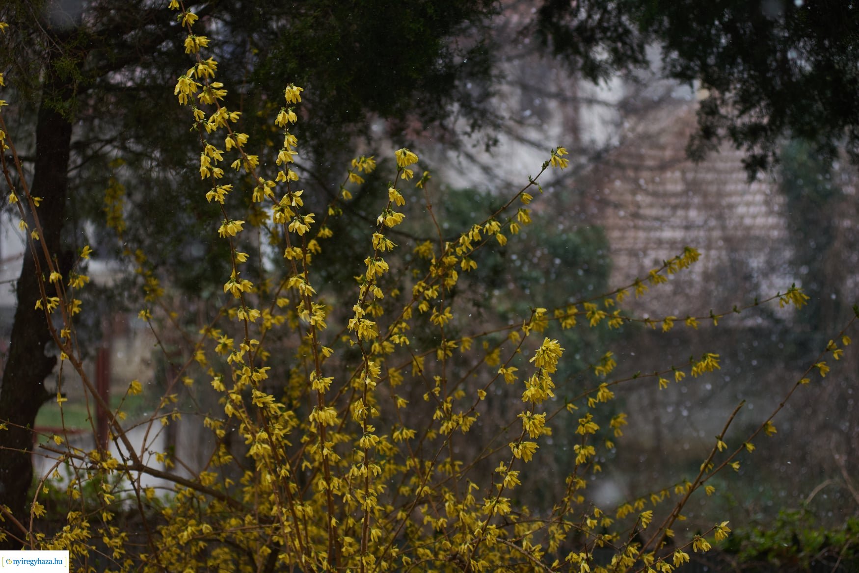 Áprilisi havazás Nyíregyházán