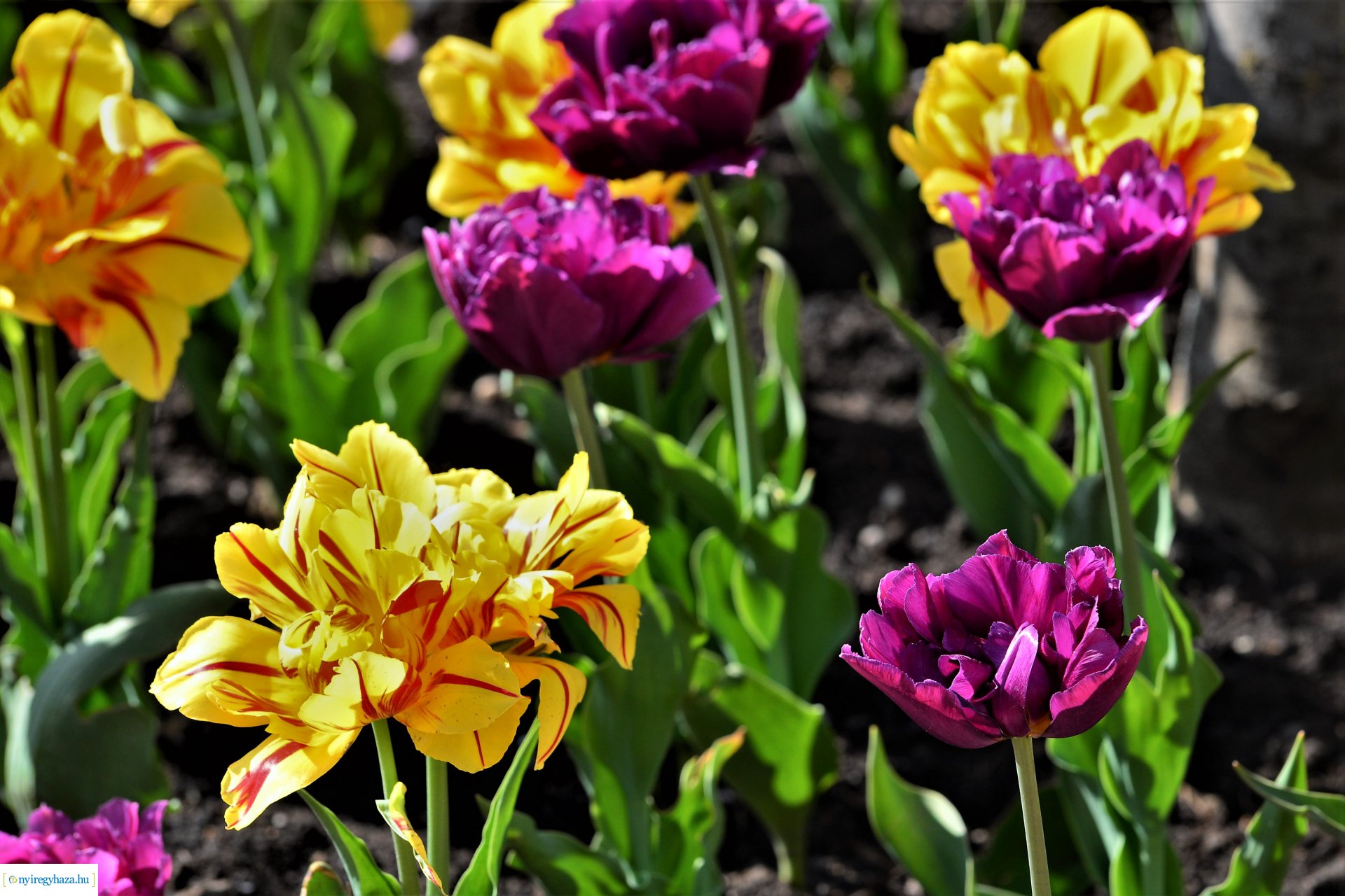 Áprilisi hétvége a belvárosban