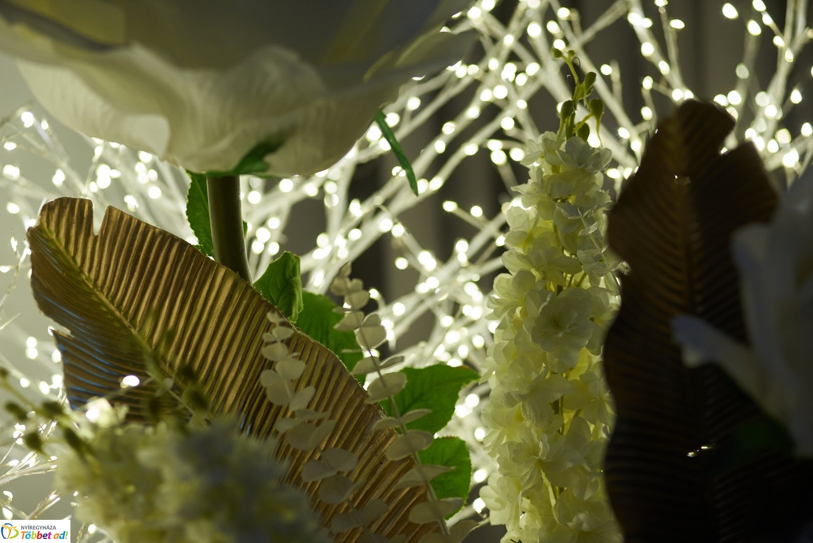 Arany nap 2026 Nyíregyházán