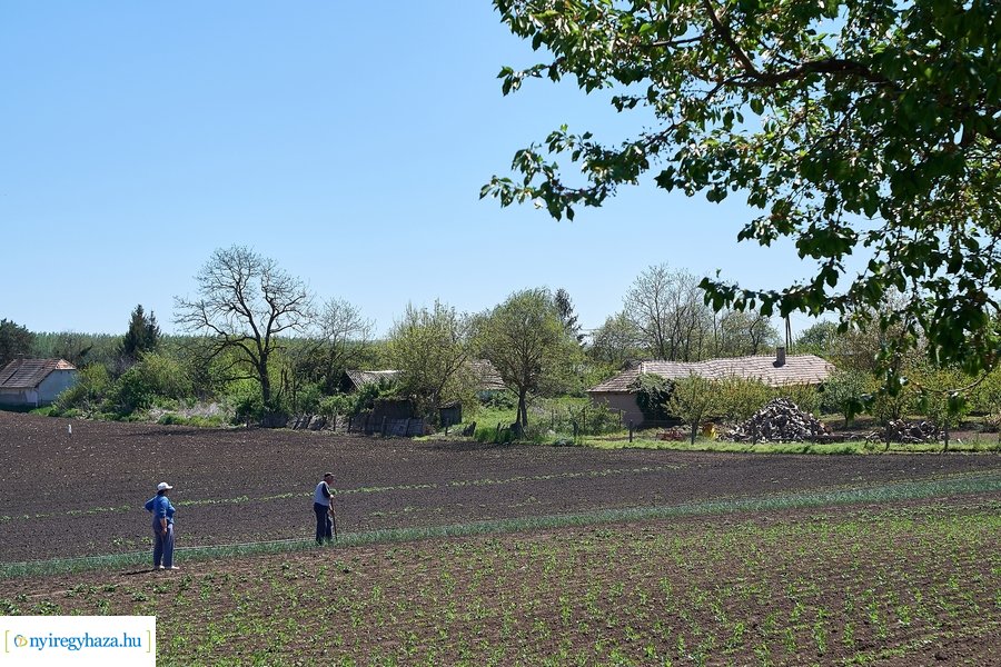 Aszfaltozás a Rókabokori úton