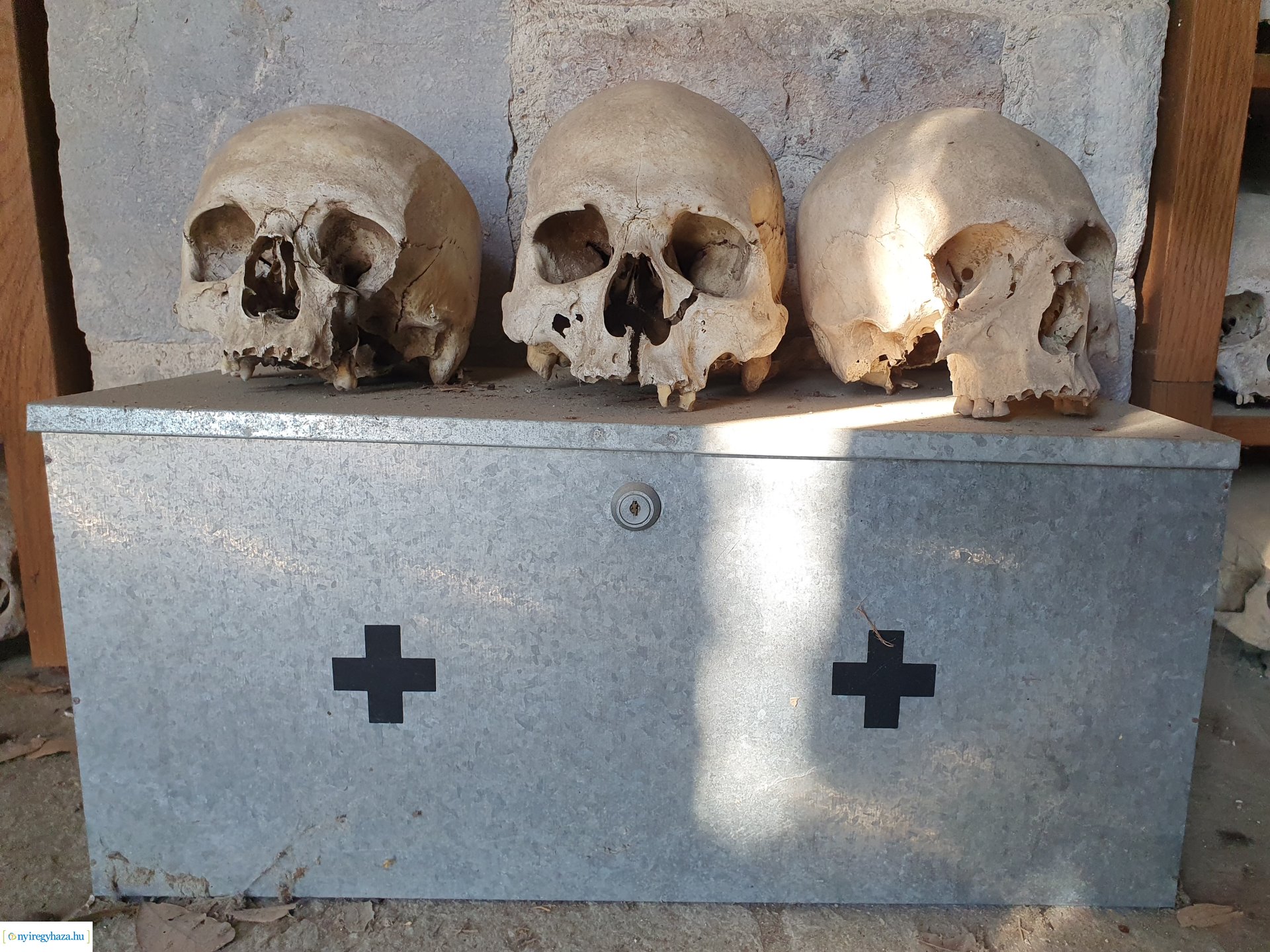 Athosz-hegyi zarándoklat