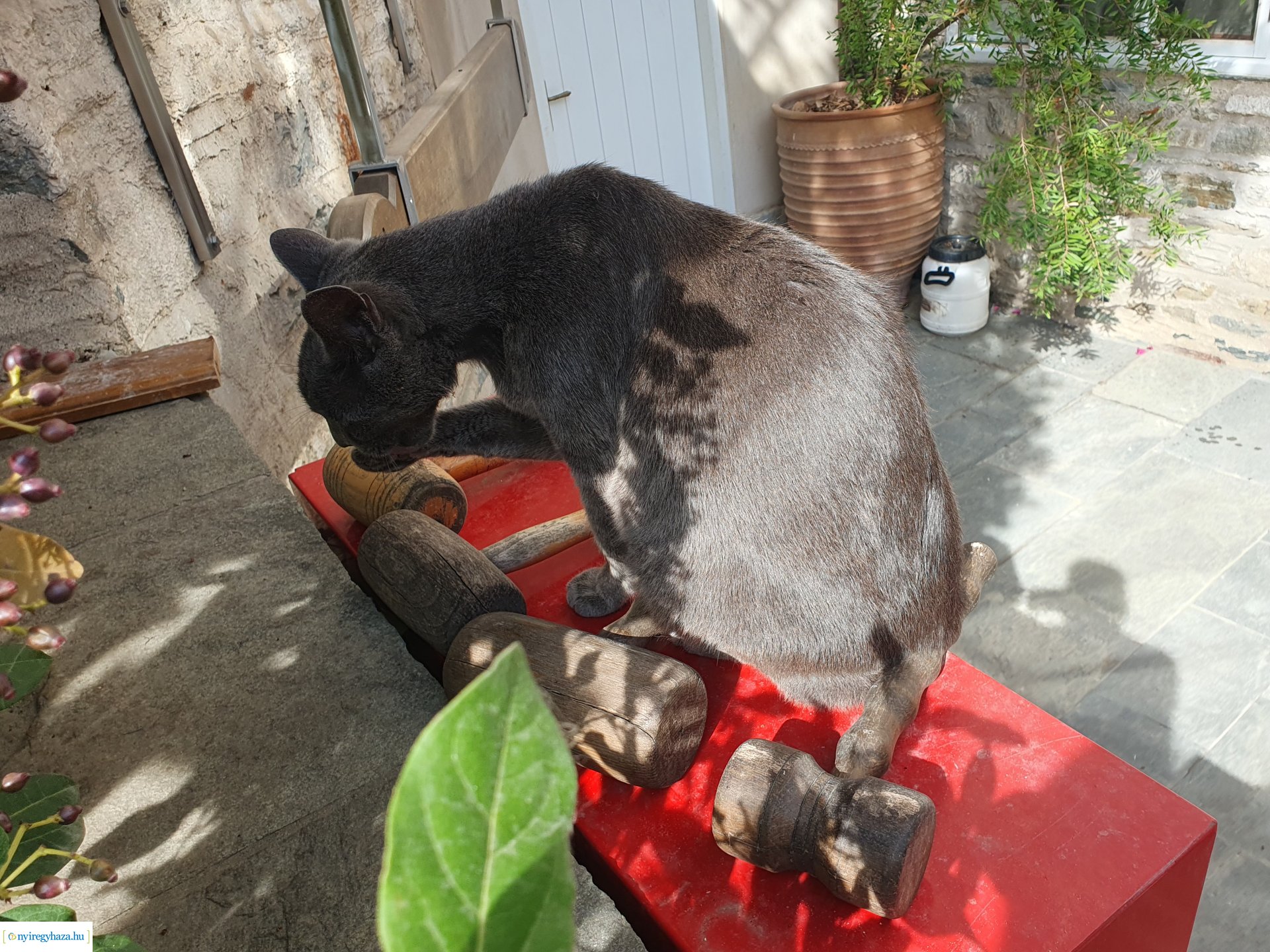 Athosz-hegyi zarándoklat