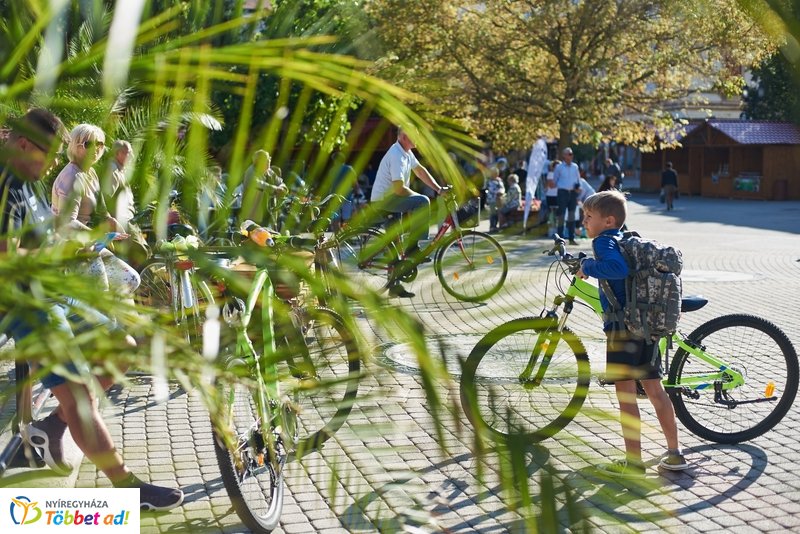 Autómentes nap 2019