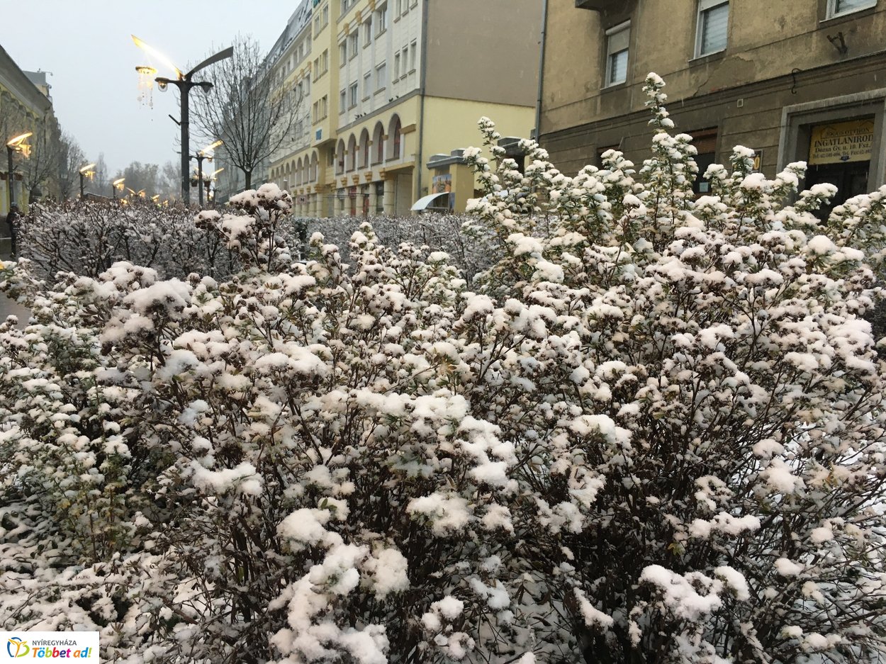 Az első hó 20191202