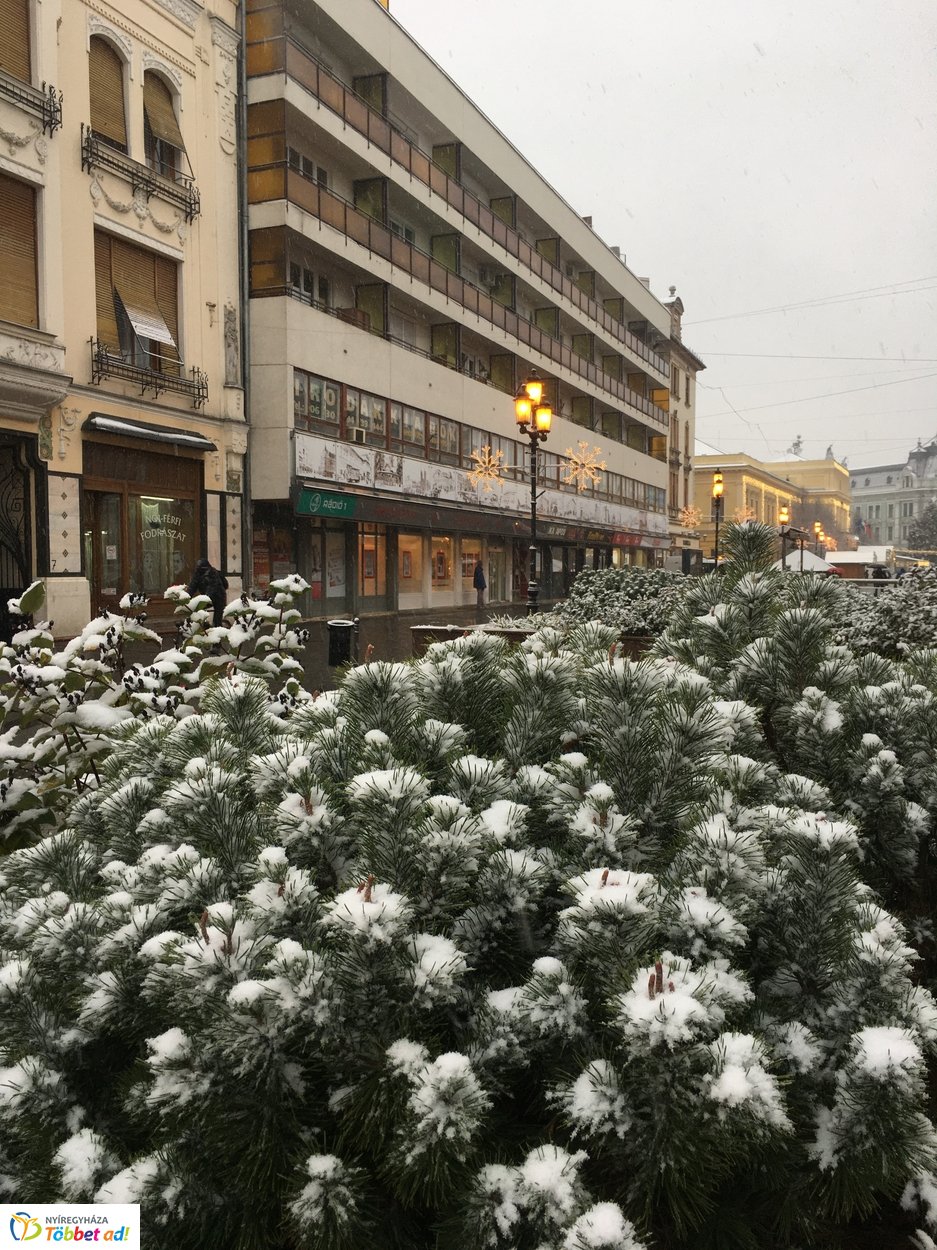 Az első hó 20191202