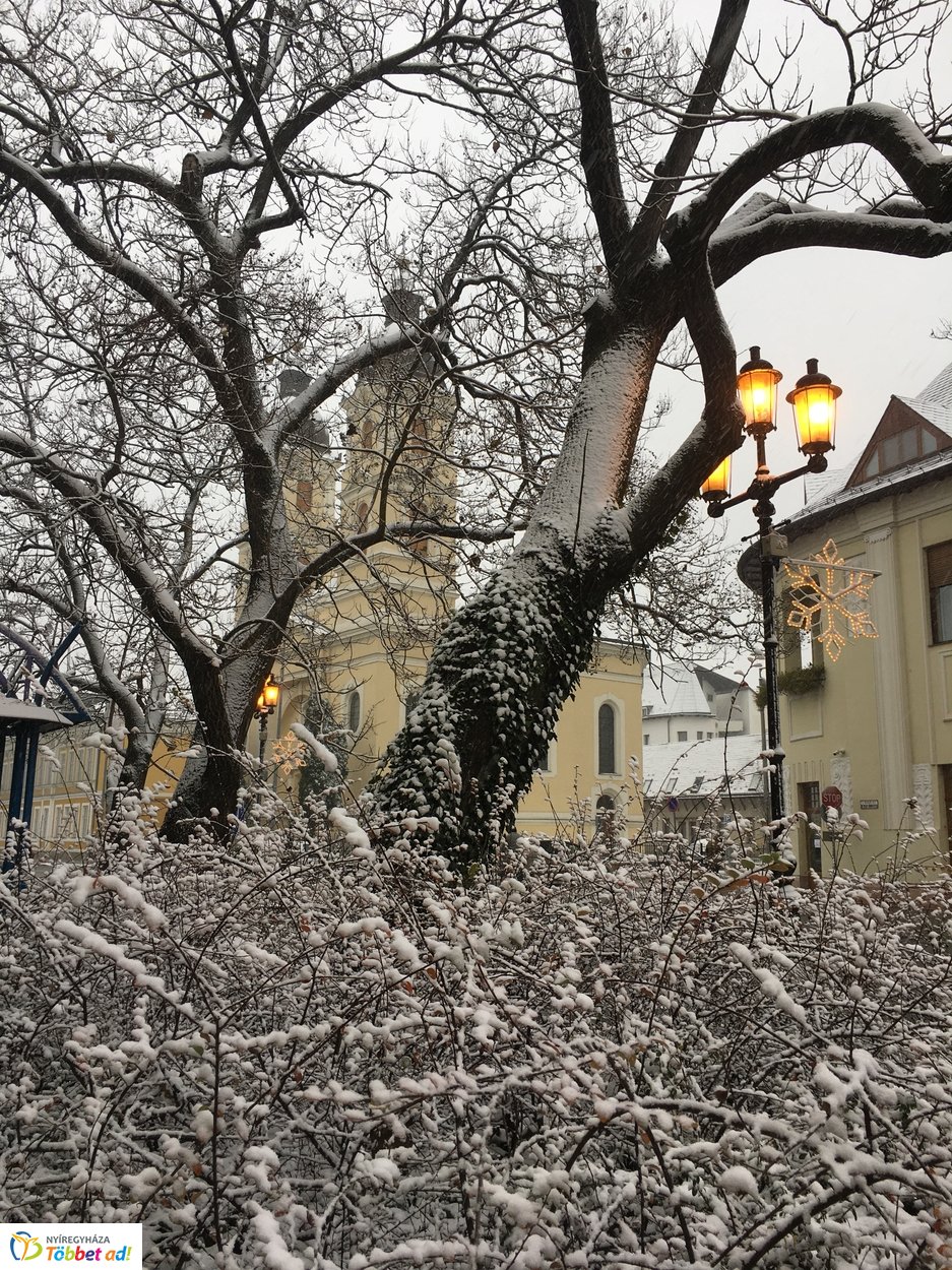 Az első hó 20191202