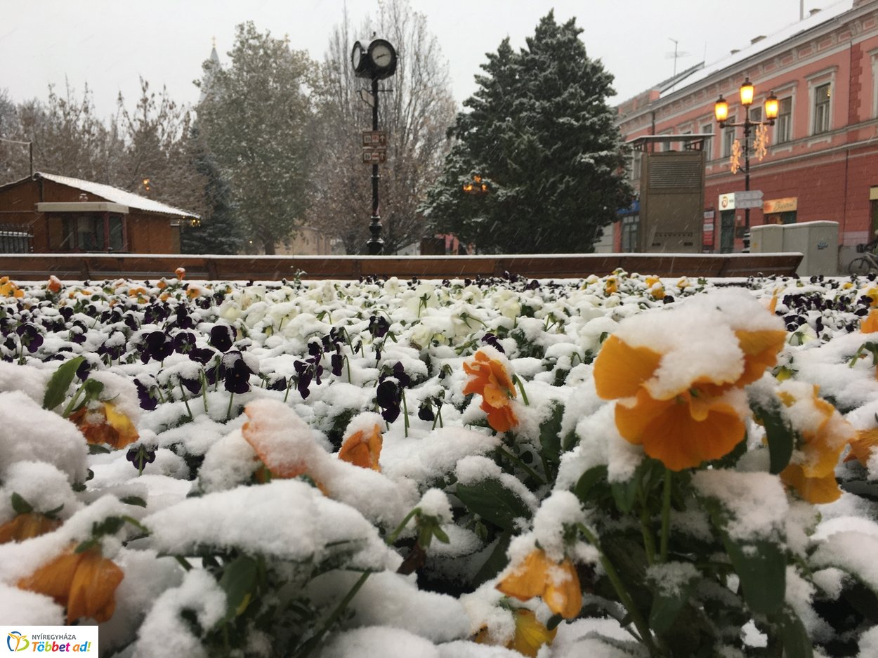 Az első hó 20191202