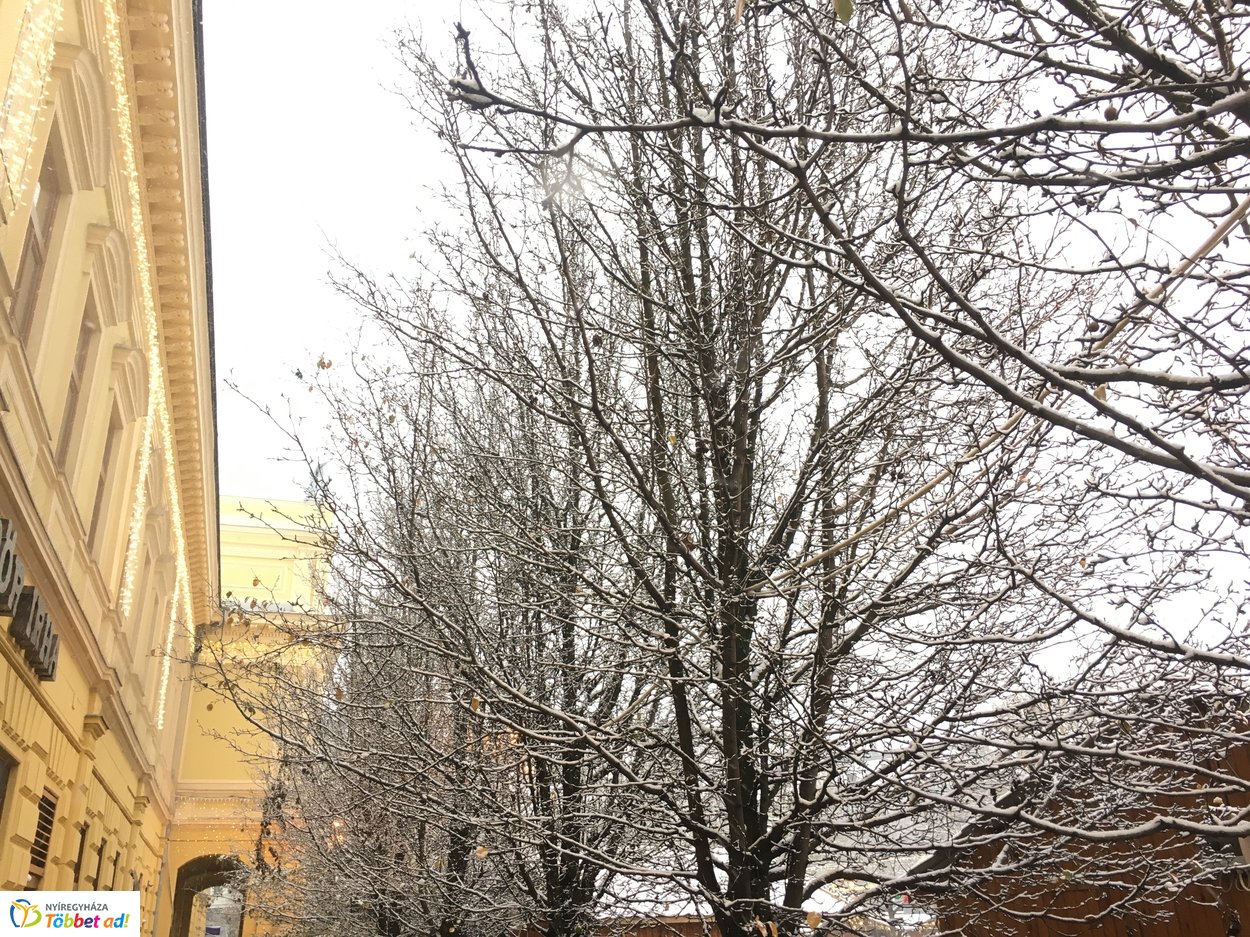 Az első hó 20191202