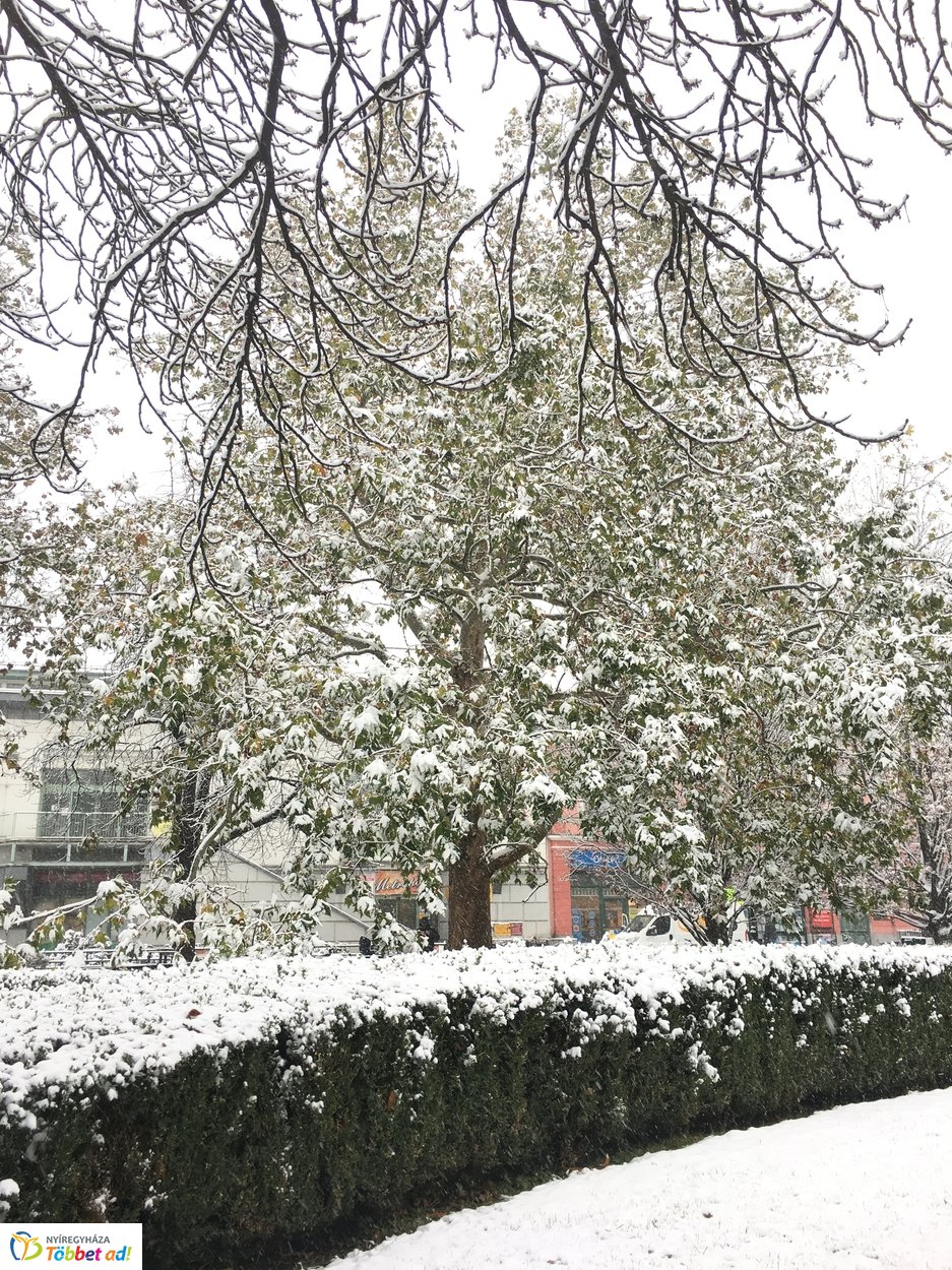 Az első hó 20191202