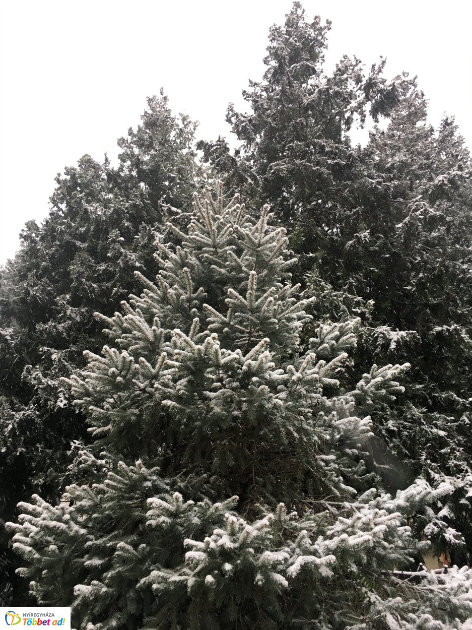 Az első hó 20191202