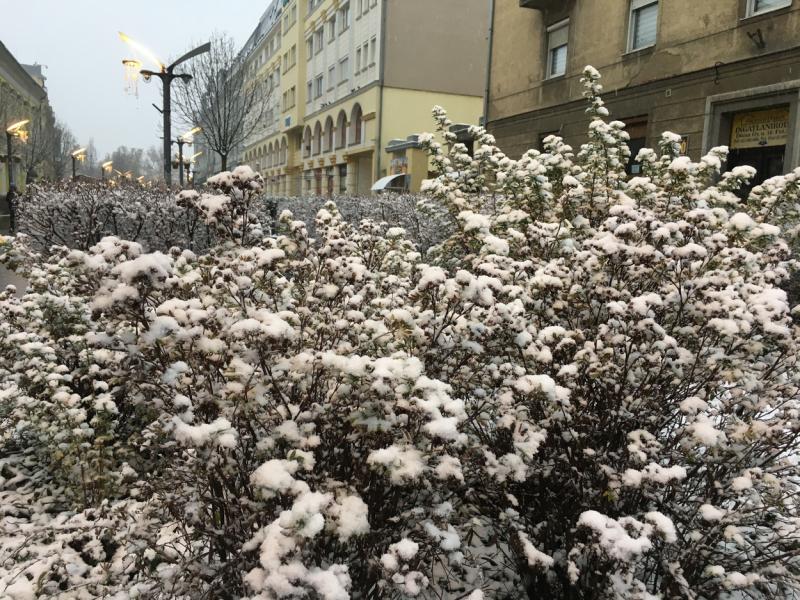 Az első hó 20191202