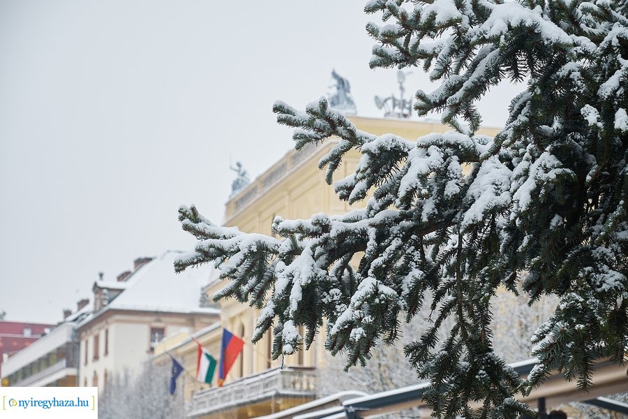 Az első hó 20210113