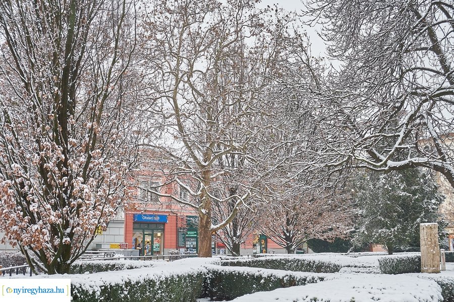 Az első hó 20210113