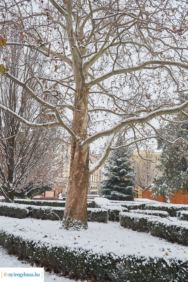 Az első hó 20210113