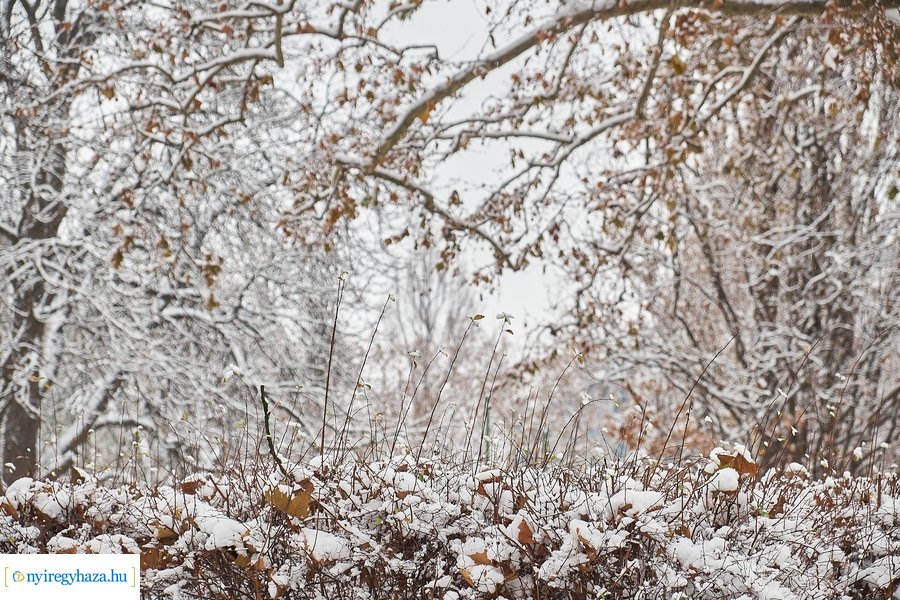Az első hó 20210113
