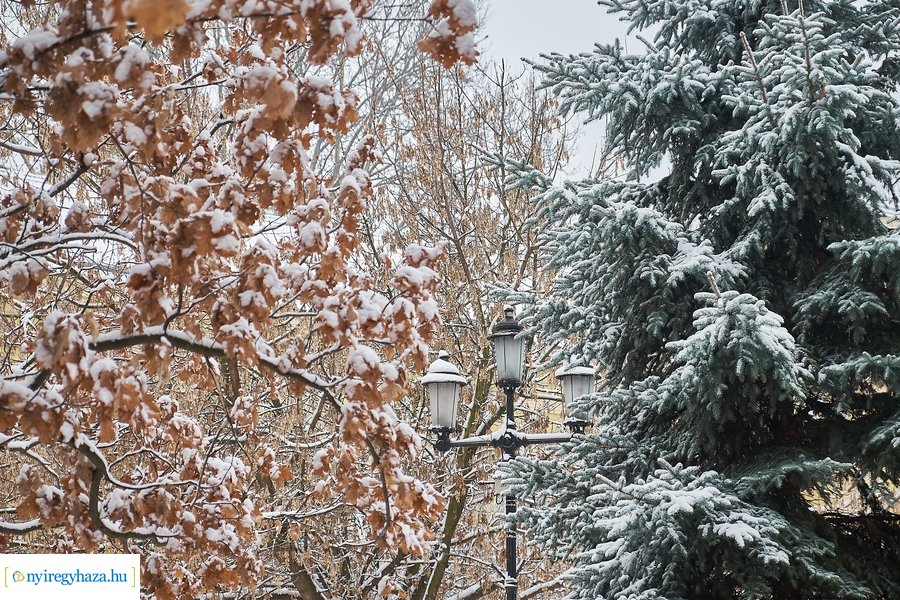 Az első hó 20210113