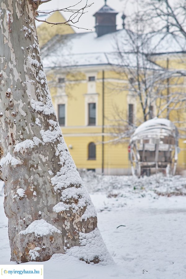 Az első hó 20210113