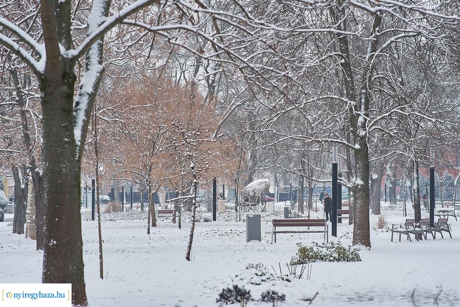 Az első hó 20210113