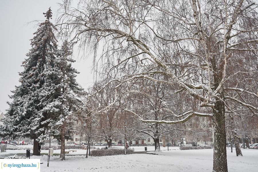 Az első hó 20210113