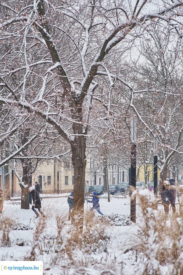 Az első hó 20210113