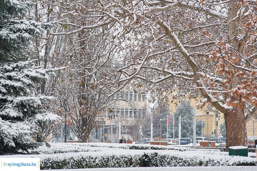 Az első hó 20210113