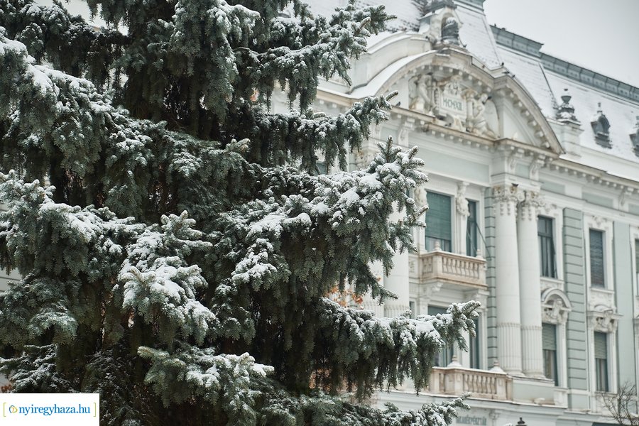 Az első hó 20210113