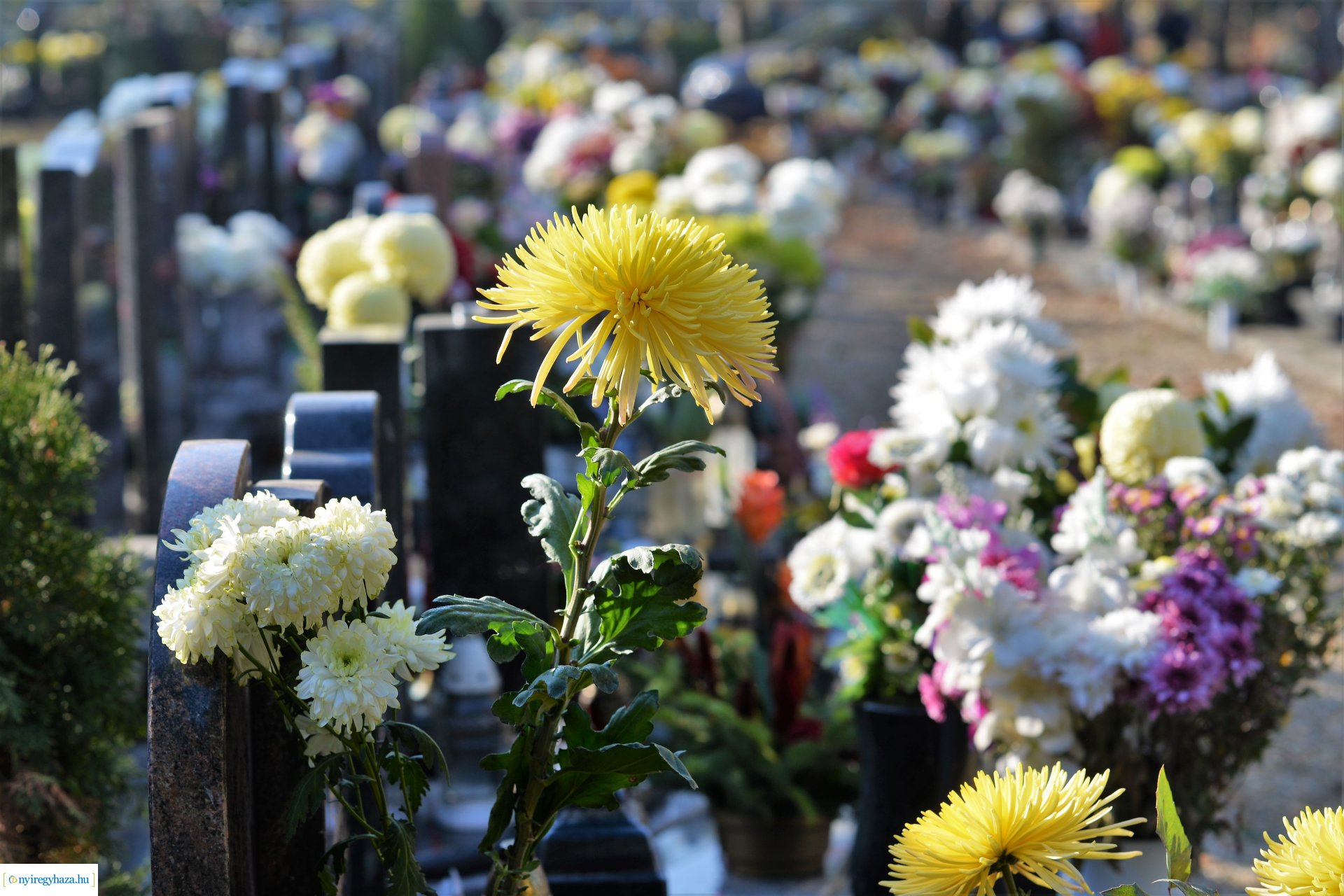 Az emlékezés virágai az Északi temetőben