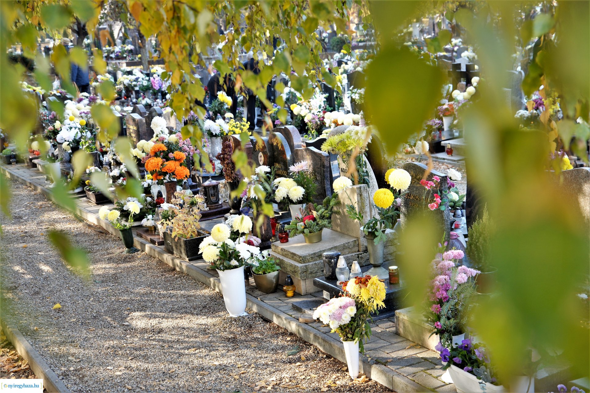 Az emlékezés virágai az Északi temetőben