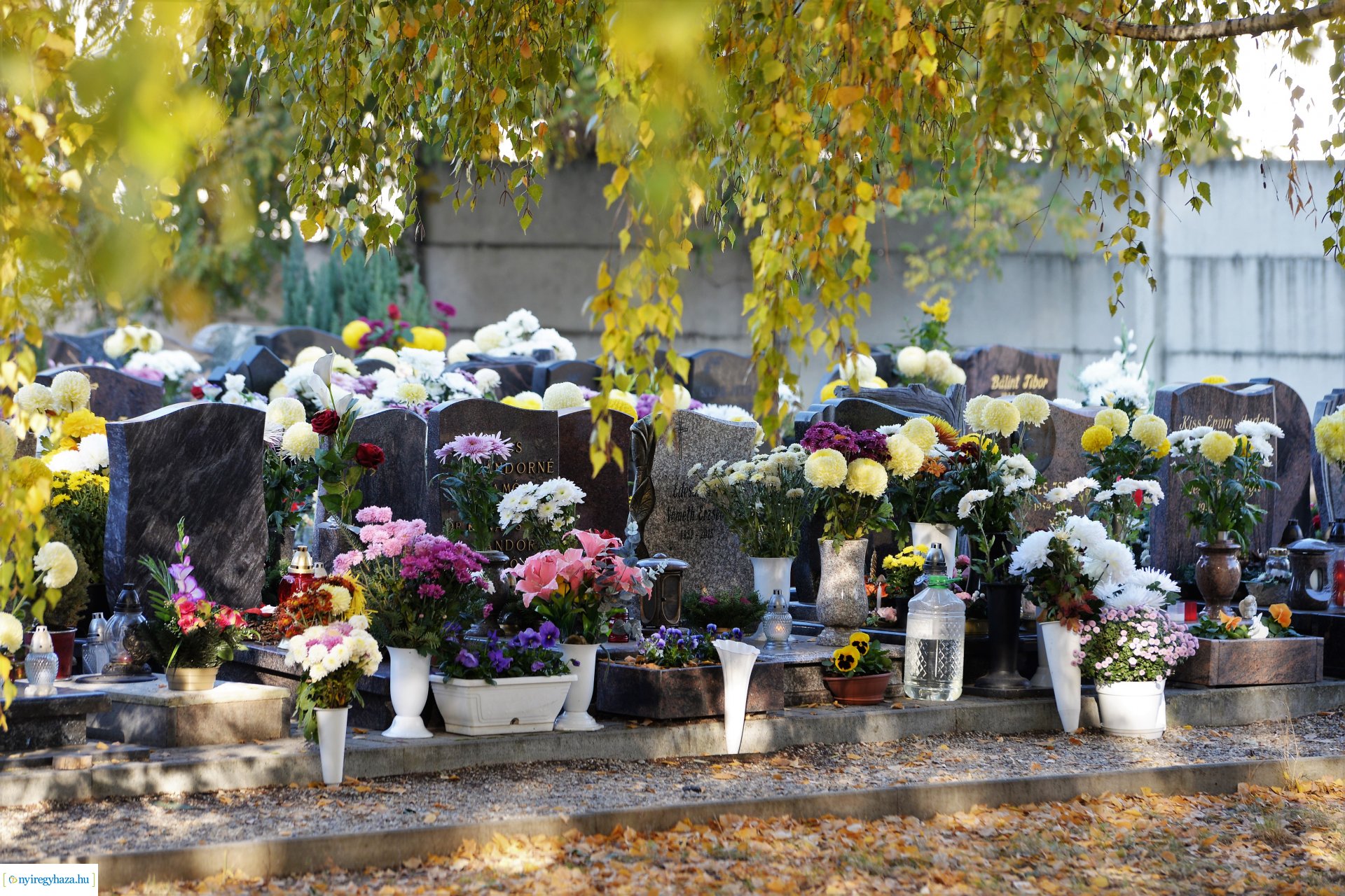 Az emlékezés virágai az Északi temetőben