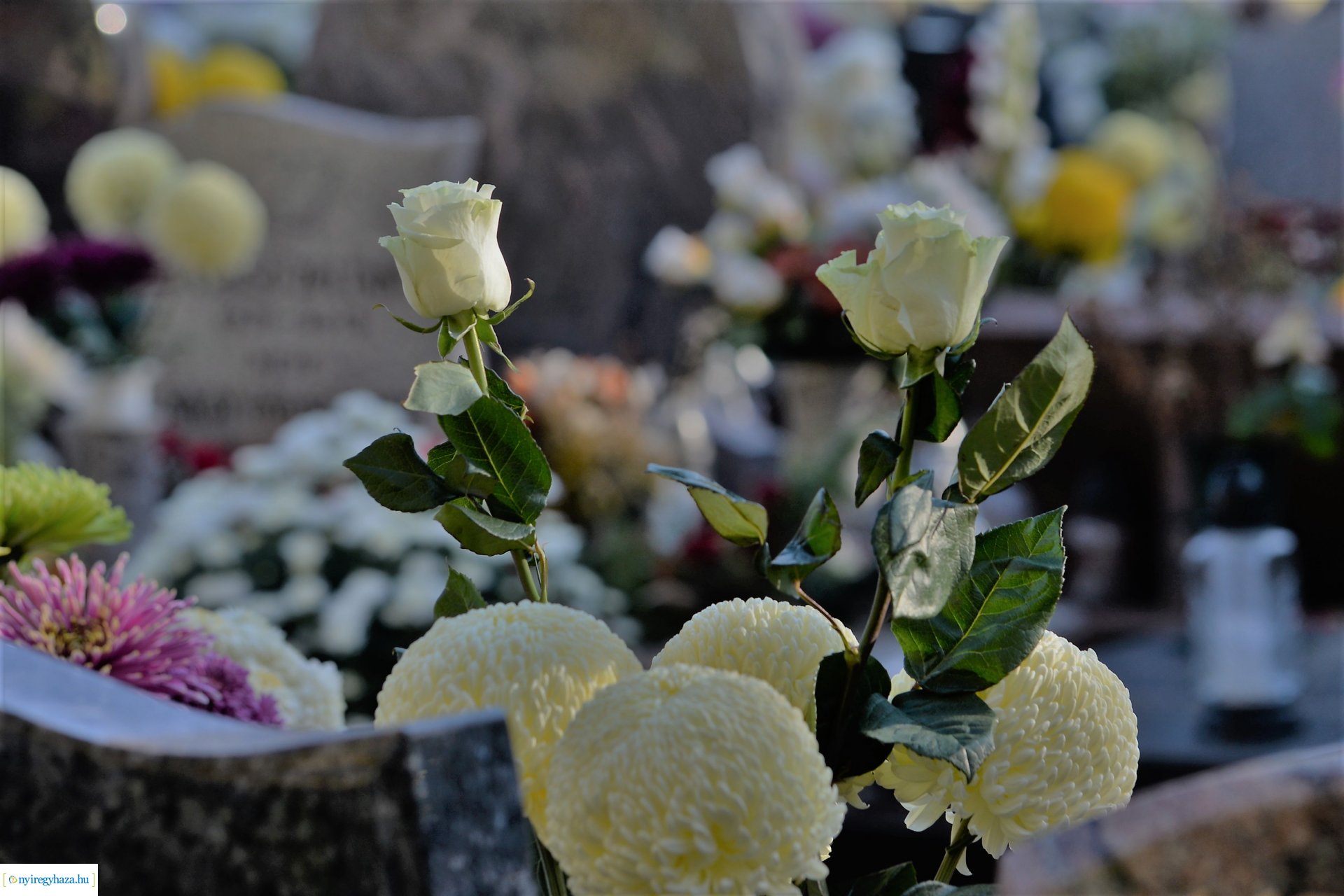 Az emlékezés virágai az Északi temetőben
