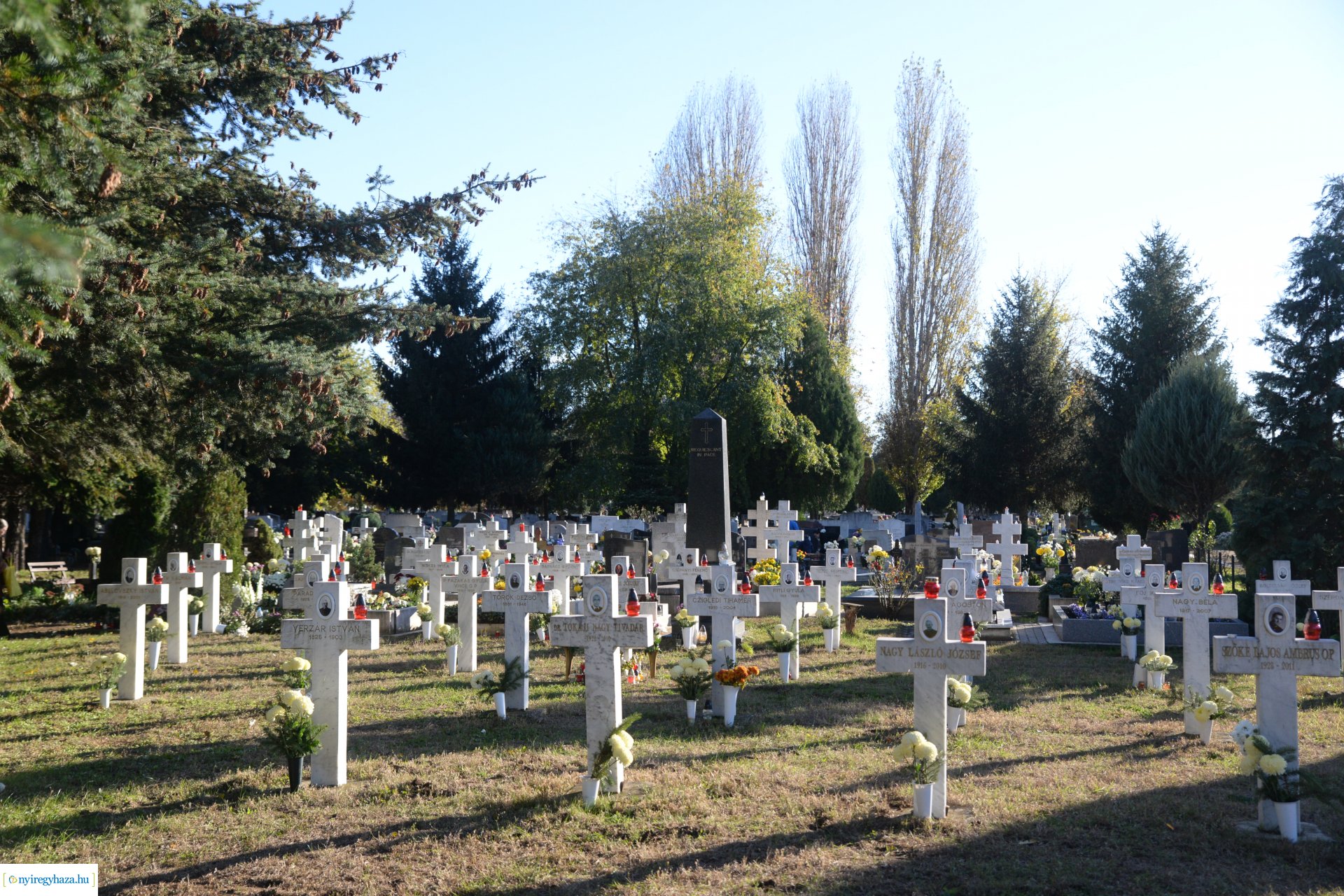 Az emlékezés virágai...