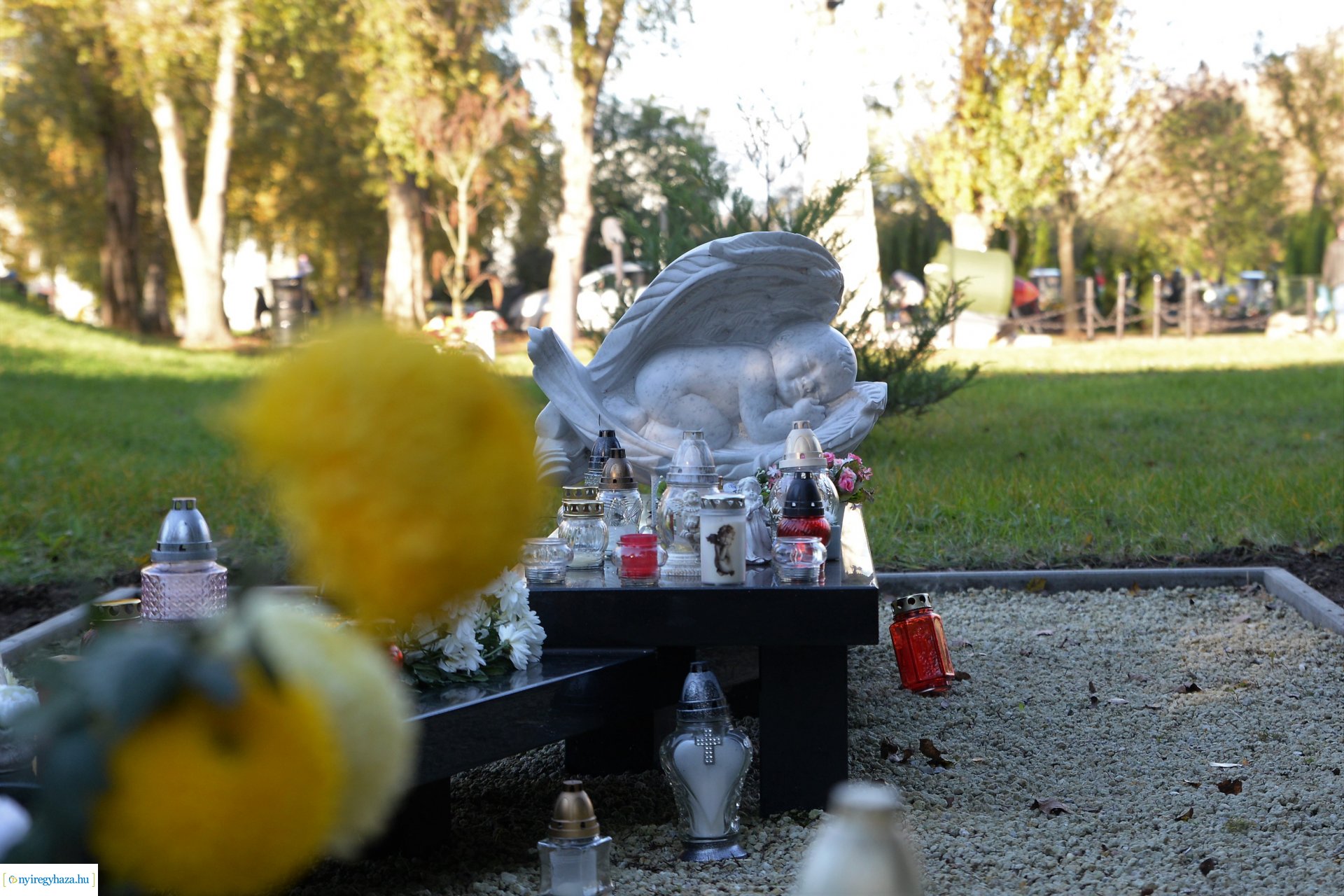 Az emlékezés virágai...