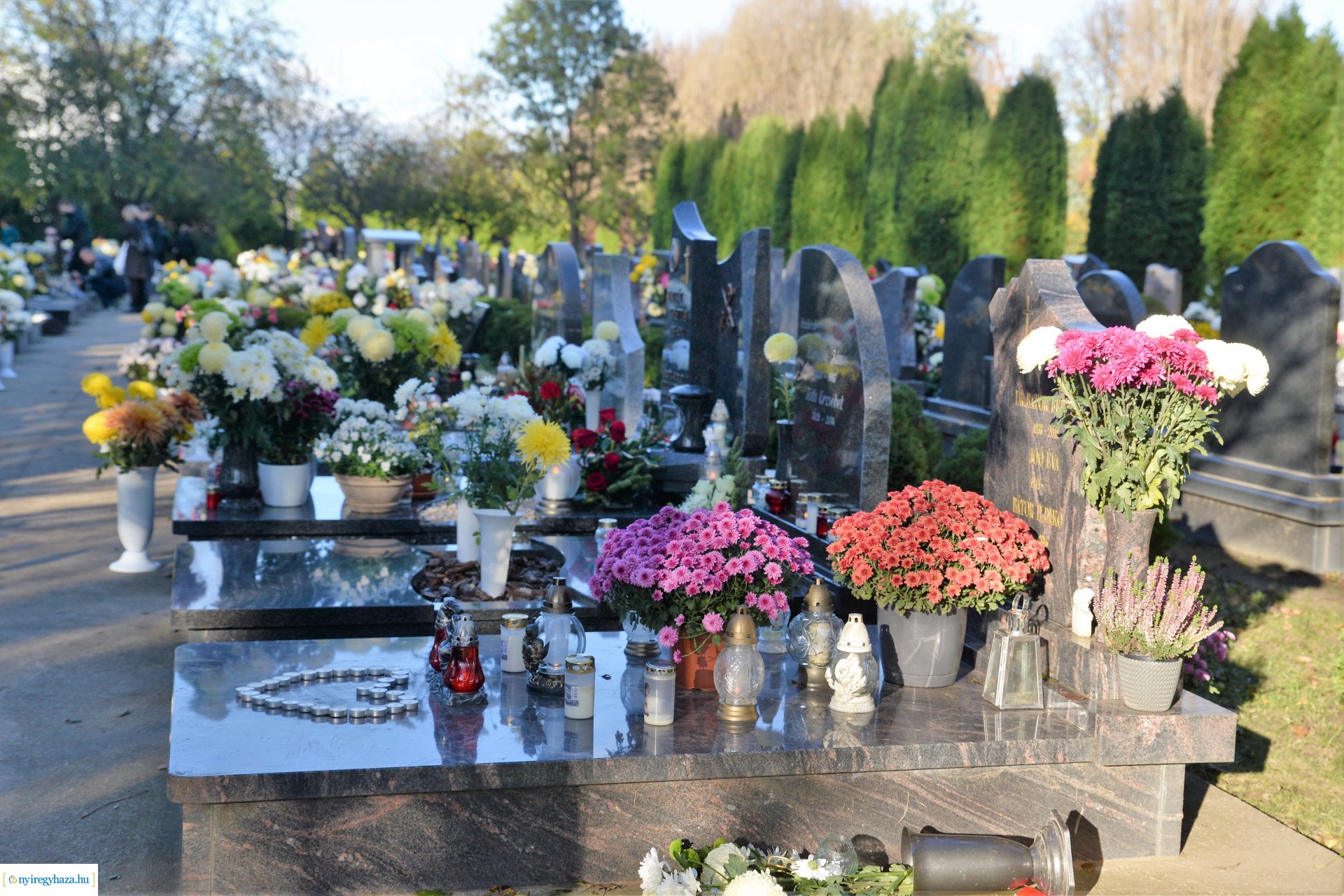 Az emlékezés virágai...