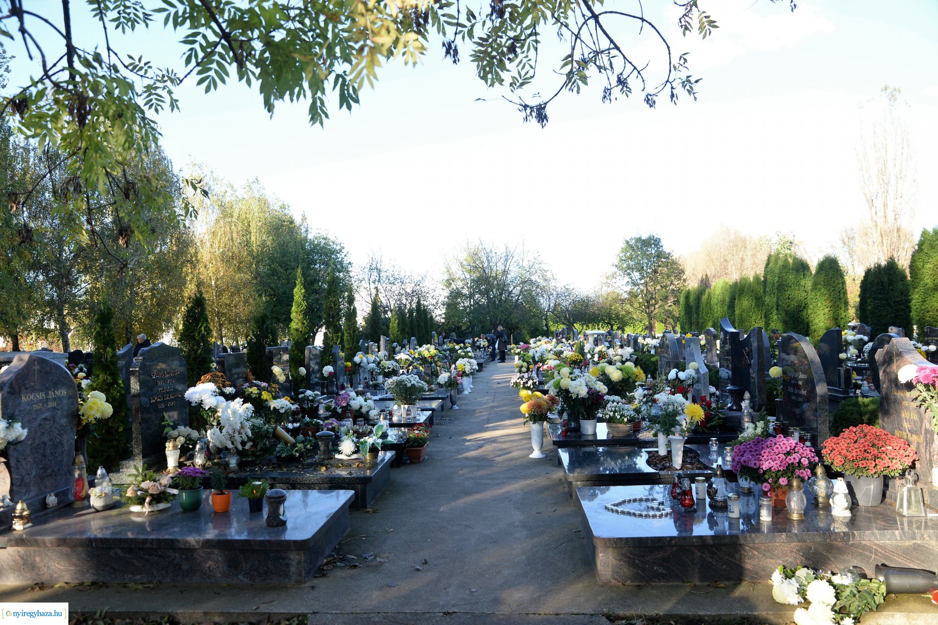 Az emlékezés virágai...