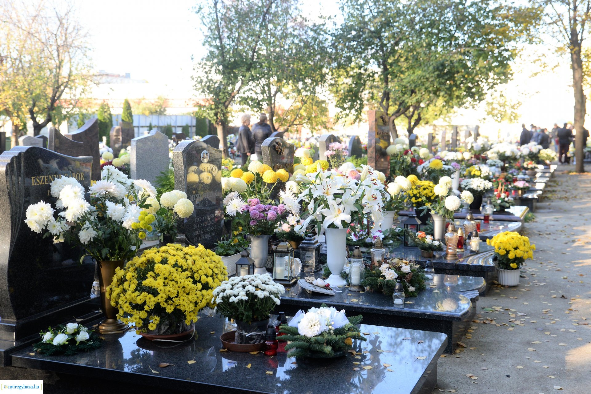 Az emlékezés virágai...