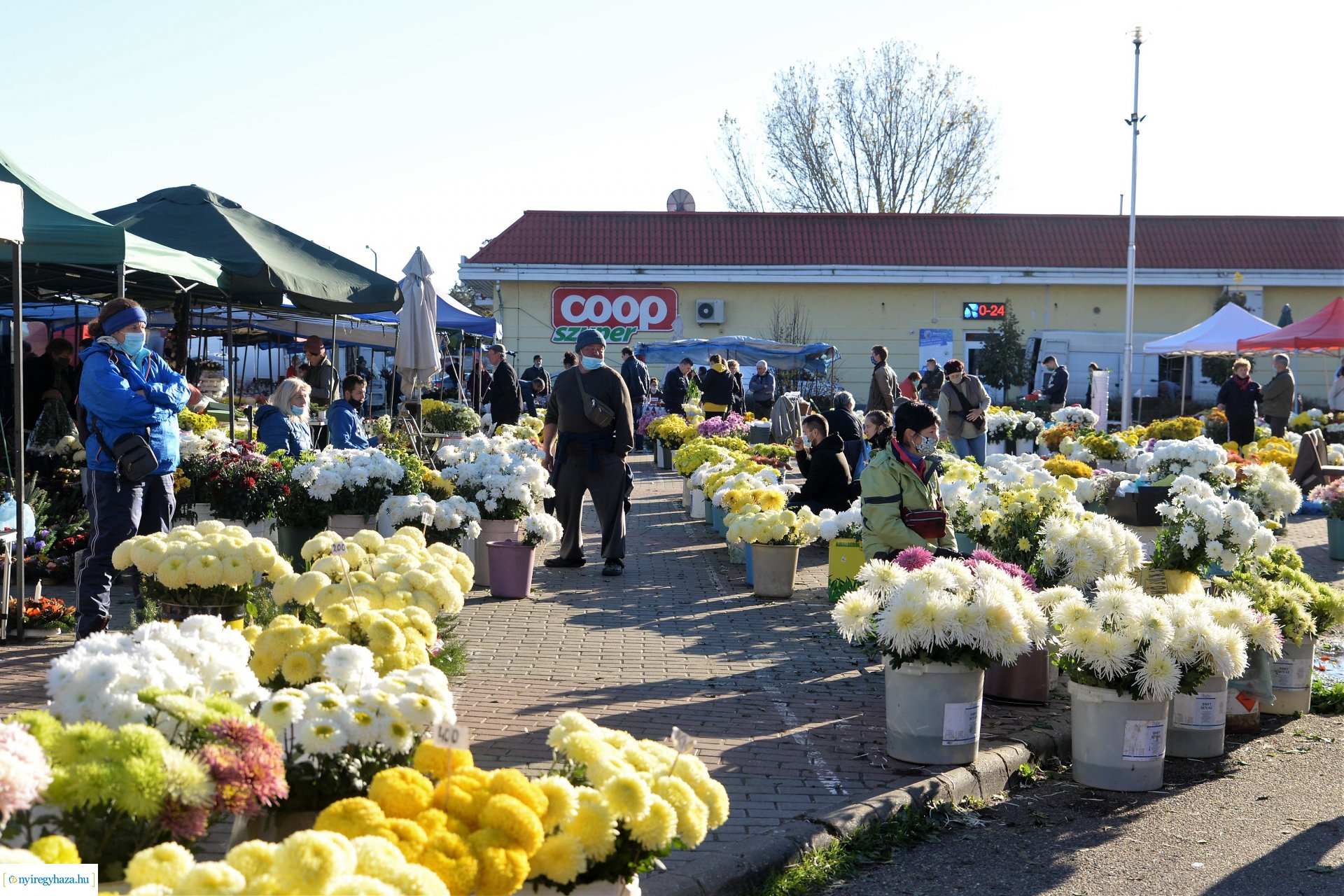 Az emlékezés virágai...