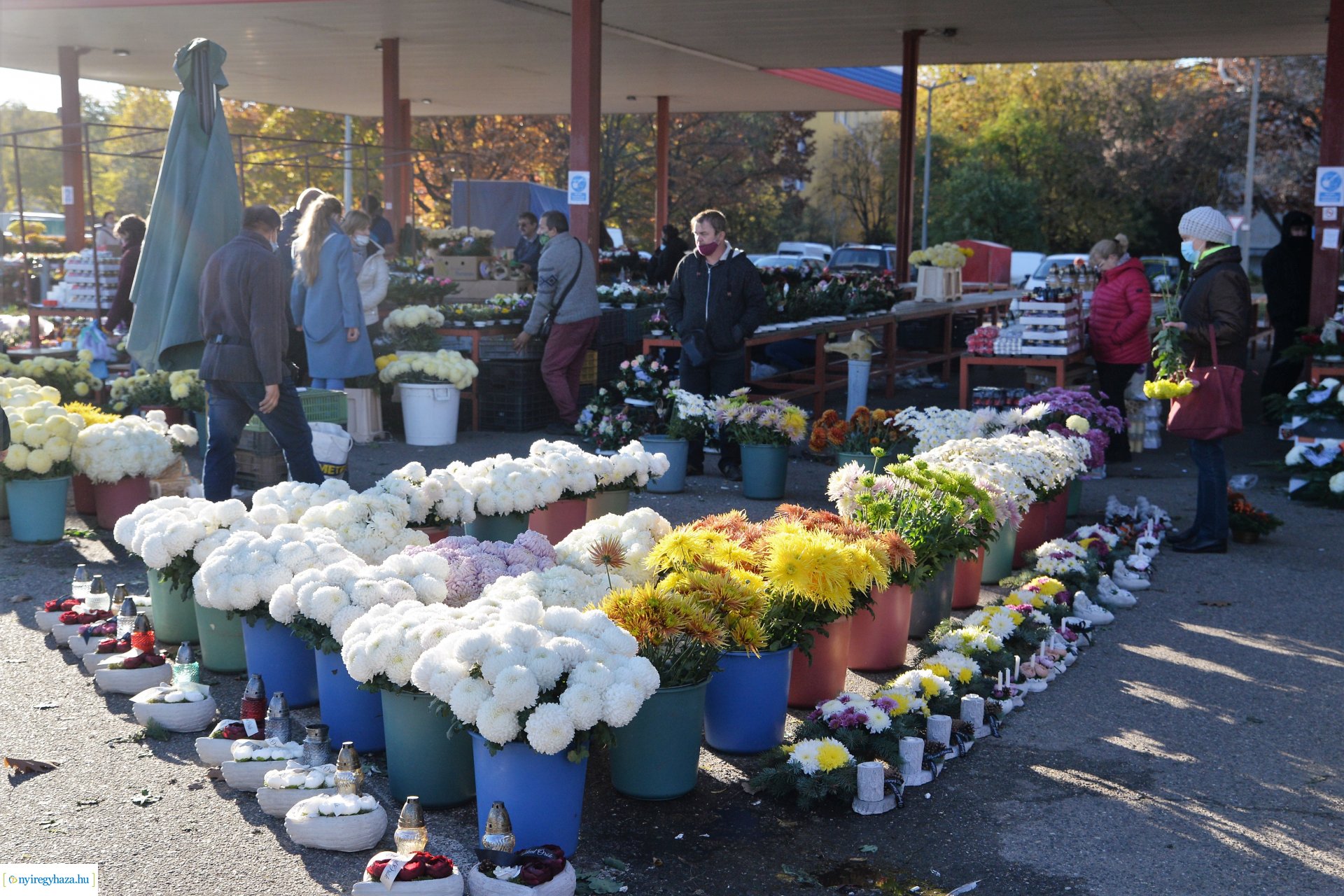 Az emlékezés virágai...